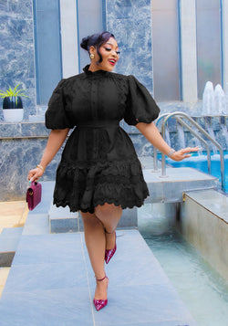 Fascinating Aura- Hollow Lace SKATER Dress (New)(4 colors!)