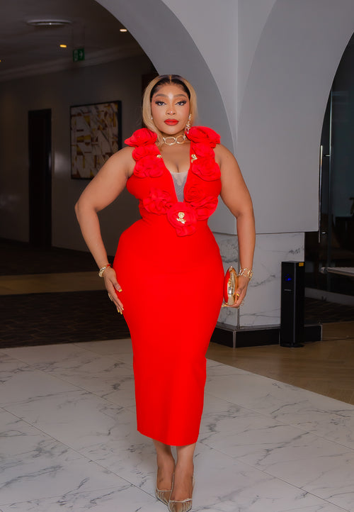 Camille Firenze Bloom- Ruffle Mesh Bandage Dress (New)(2 colors)