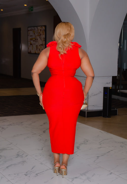 Camille Firenze Bloom- Ruffle Mesh Bandage Dress (New)(2 colors)