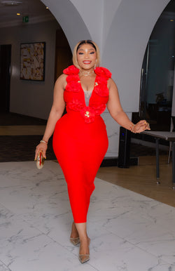 Camille Firenze Bloom- Ruffle Mesh Bandage Dress (New)(2 colors)