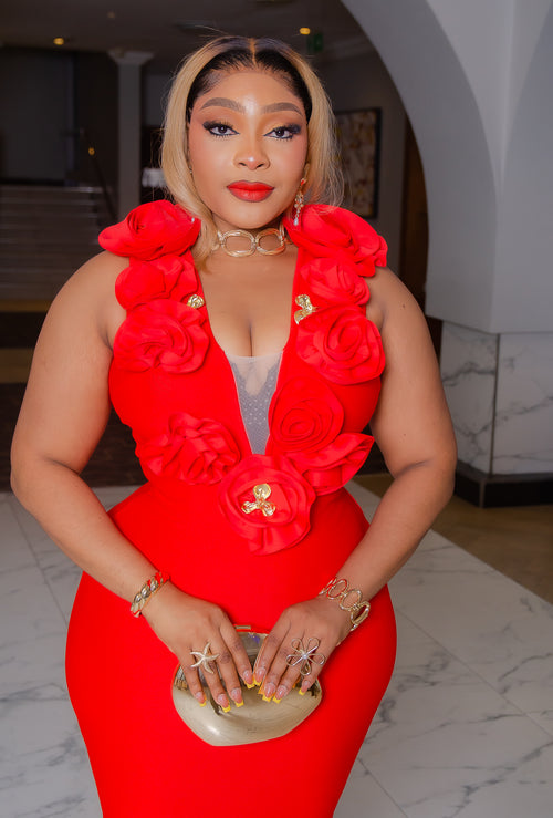 Camille Firenze Bloom- Ruffle Mesh Bandage Dress (New)(2 colors)