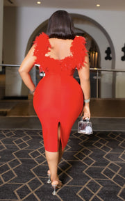 Lady Exquisite- Mesh Rhinestone Feathers Bandage Dress