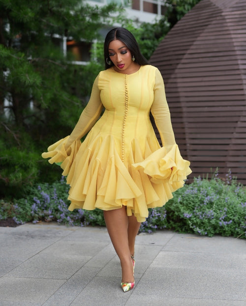 Bella Bloom- Ruffle Sleeve Pleats Fit/Flare Dress (New) (4 colors)