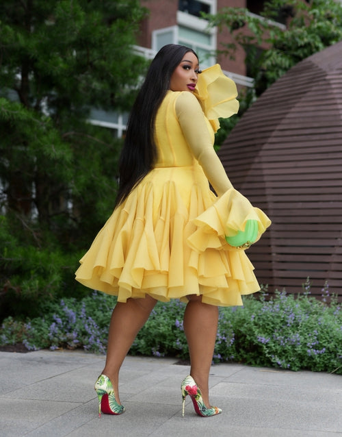 Bella Bloom- Ruffle Sleeve Pleats Fit/Flare Dress (New) (4 colors)