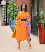Norabelle- Pleats ColorBlock Swing Dress (NEW)